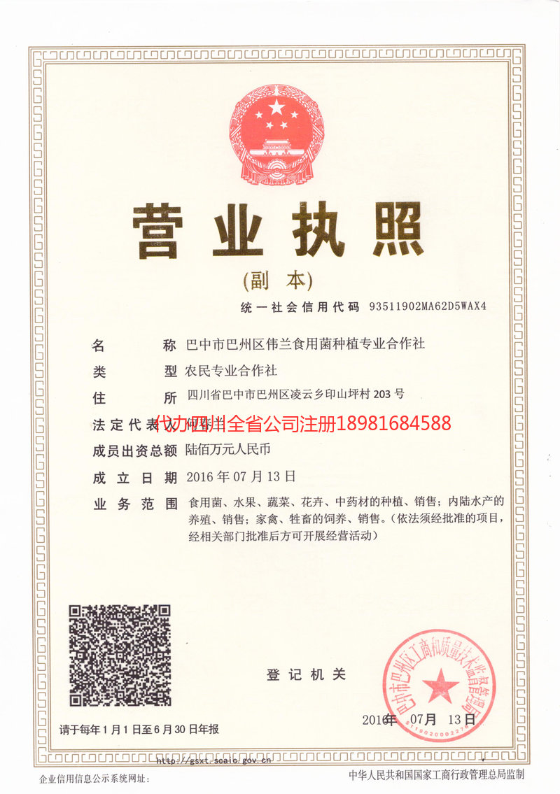 石首石首伟兰食用菌种植专业合作社